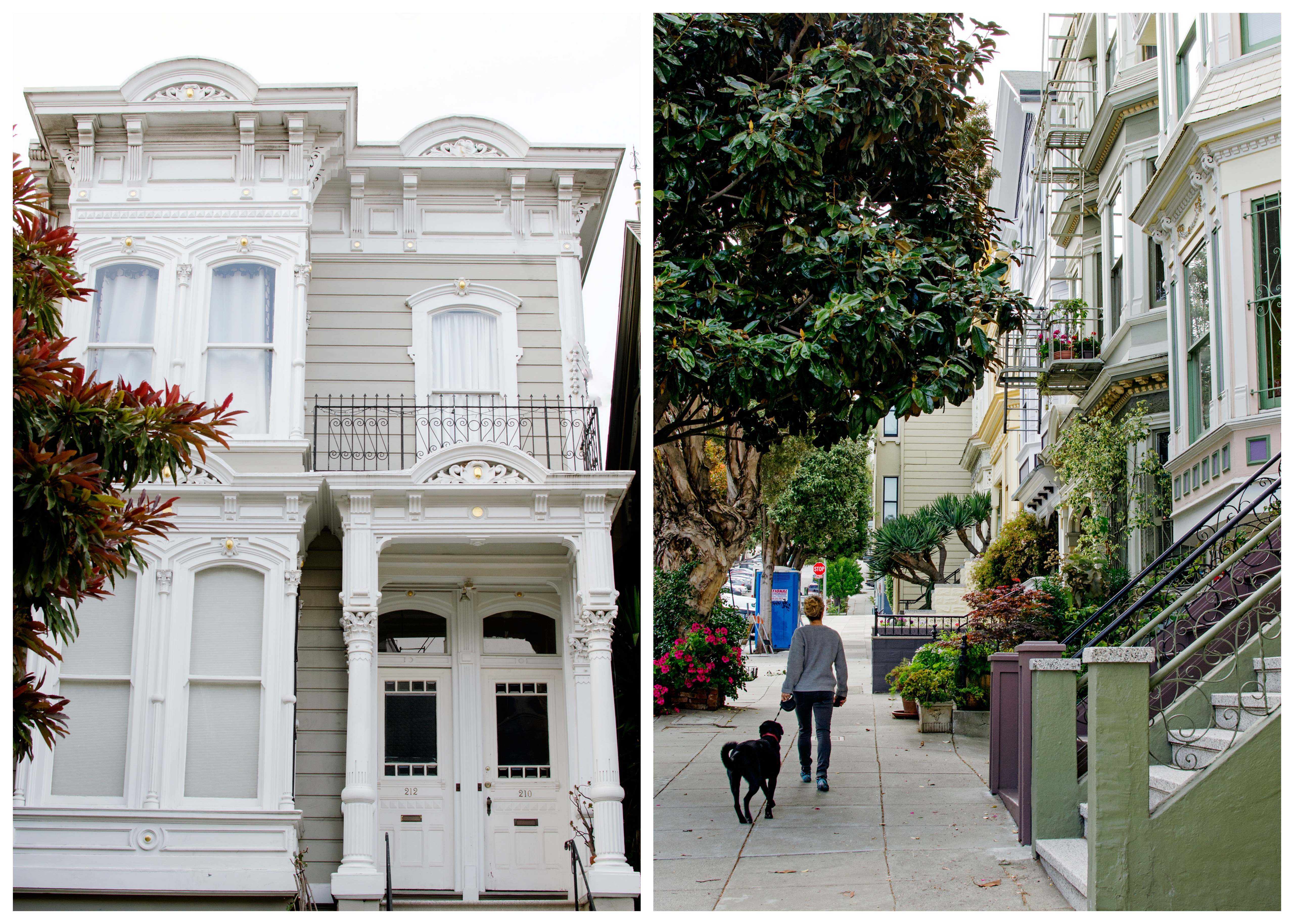 San Francisco Victorian Houses - A Side of Sweet Explores the Lower Haight